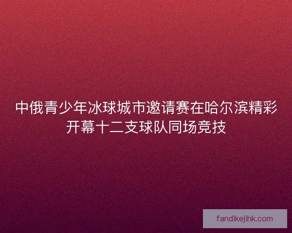 中俄青少年冰球城市邀请赛在哈尔滨精彩开幕十二支球队同场竞技